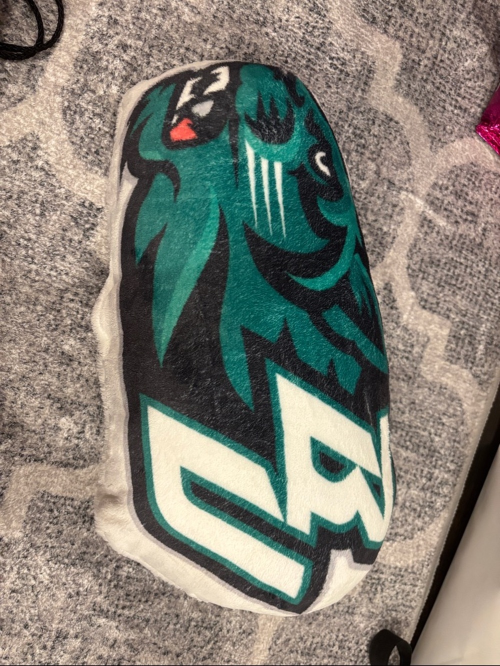 Binghamton pillow